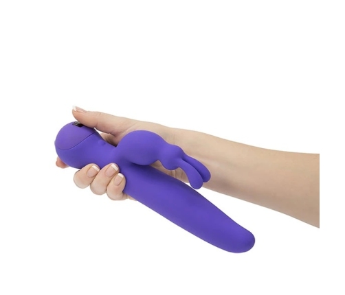 Swan - Duo Rabbit Purple