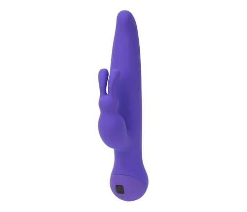 Swan - Duo Rabbit Purple