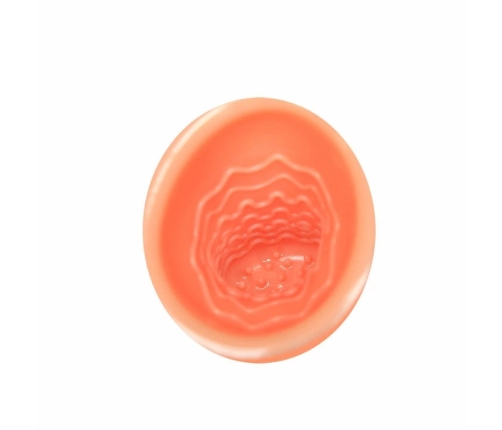 Baile Oral Sex Lover 30V Intimate Device with Suction Cup Adapter