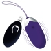INTENSE Flippy II Remote Vibrating Egg, 12 Modes, USB, Purple, 70mm