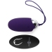 INTENSE Flippy II Remote Vibrating Egg, 12 Modes, USB, Purple, 70mm