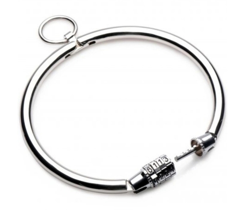 Metal Hard Stainless Steel Collar with Combination Lock 13.5 cm