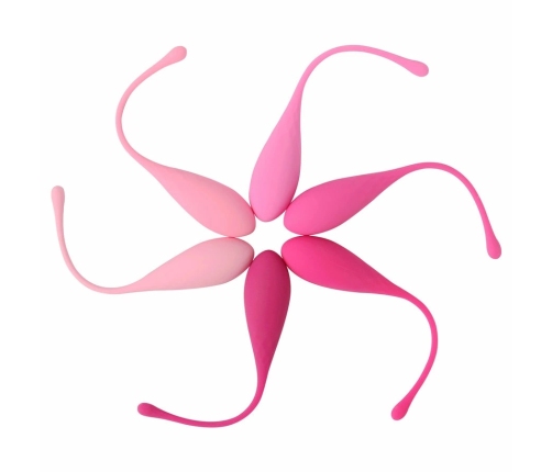 LESLIE - KEGEL FIT ENTREGADOR SUELO PELVICO 6 PESOS