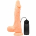 Baile Ultra-Realistic Vibrating Model with Remote, PVC, Suction Cup, 22 cm