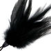 Darkness Black Feather Teaser 20cm - Sensation Play Accessory