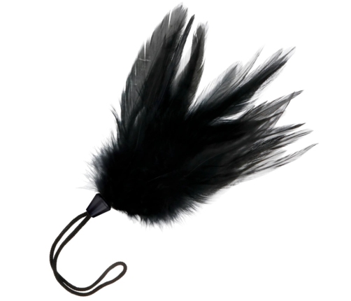 Darkness Black Feather Teaser 20cm - Sensation Play Accessory