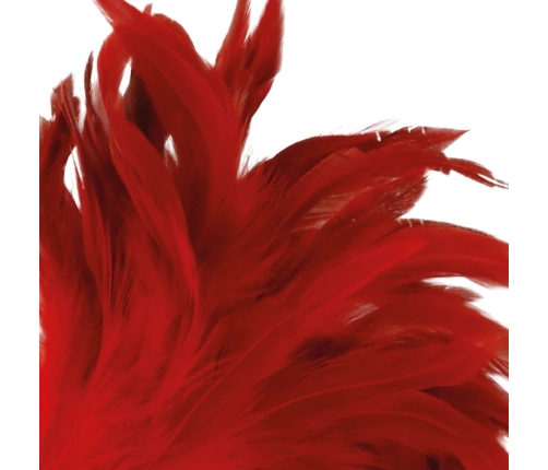 Darkness Sensual Feather Teaser 24cm Red - Ergonomic Handle, Soft Touch