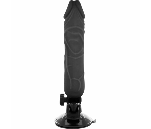BASECOCK Remote Control Flexible Vibrating Model Black 20cm x 4cm