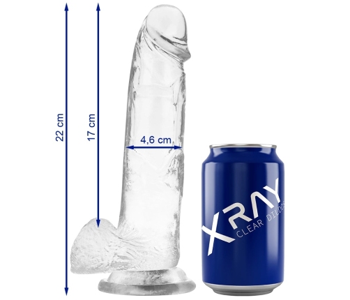 XRAY Transparent Intimate Model with Anatomical Base 22cm x 4.6cm