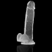XRAY Transparent Intimate Model with Anatomical Base 22cm x 4.6cm