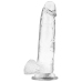 XRAY Transparent Intimate Model with Anatomical Base 22cm x 4.6cm