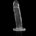 XRAY Clear 18 cm Transparent Intimate Model with Suction Base