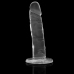 XRAY Clear 18 cm Transparent Intimate Model with Suction Base
