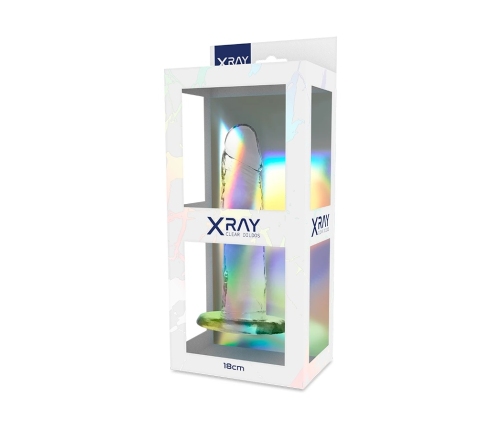 XRAY Clear 18 cm Transparent Intimate Model with Suction Base