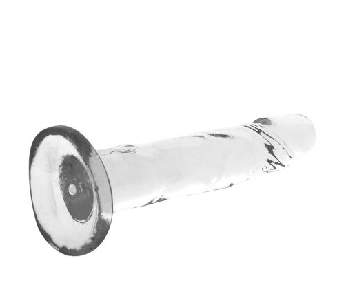 XRAY Clear 18 cm Transparent Intimate Model with Suction Base