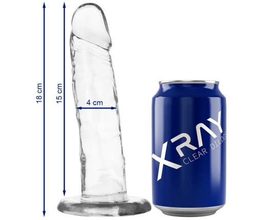 XRAY Clear 18 cm Transparent Intimate Model with Suction Base