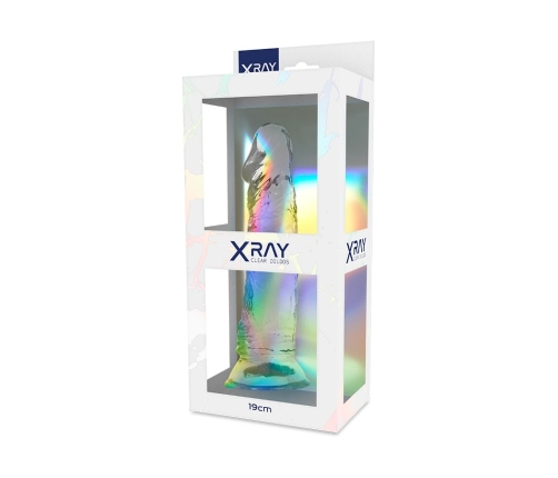 XRAY Clear Model 19 cm Transparent Intimate System with Suction Base