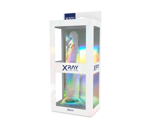 XRAY Transparent Intimate Model 21 cm x 4 cm Jelly Material, Suction Base