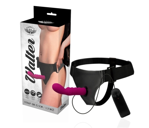 HARNESS ATTRACTION - ARNÉS  WALTER CON VIBRACIÓN 15.5 CM -O- 3.7 CM