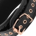 BEGME Black Edition Premium Vegan Leather Collar with Neoprene Lining