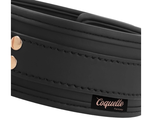Coquette Chic Desire Vegan Leather Collar with Metal Chain, Black