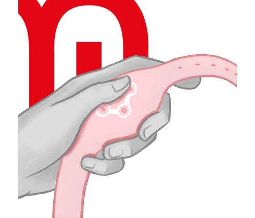 WATCHME - RELOJ CONTROL REMOTO WIRELESS TECHNOLOGY ROSORAL