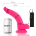 Diversia Flexible Vibrating Device Pink 21.5cm with Suction Cup & Remote