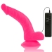 Diversia Flexible Vibrating Device Pink 21.5cm with Suction Cup & Remote