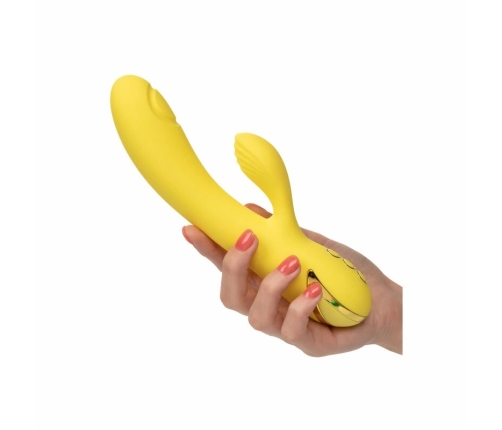 CALEXOTICS - SAN DIEGO SEDUCTION