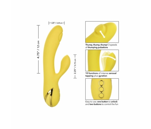 CALEXOTICS - SAN DIEGO SEDUCTION