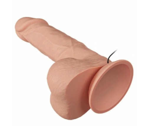 BAILE - BEAUTIFUL ENCOUNTER BAHAMUT VIBRACIÓN 21.8 CM NATURAL