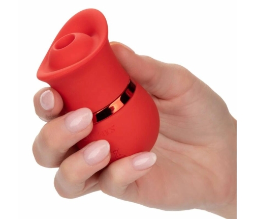 CalExotics French Kiss Suck & Play Set Intimate Multi-Function Kit Pink