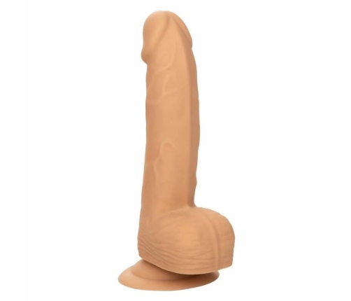 CALEXOTICS - SILICONE STUDS 15.24 CM SKIN