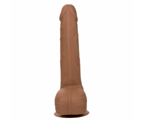 CALEXOTICS - SILICONE STUDS 20.32 CM BROWN