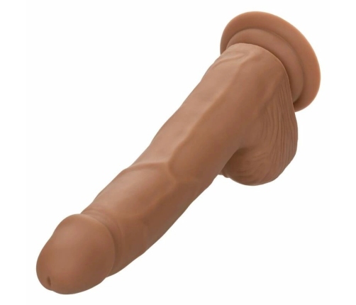 CALEXOTICS - SILICONE STUDS 20.32 CM BROWN