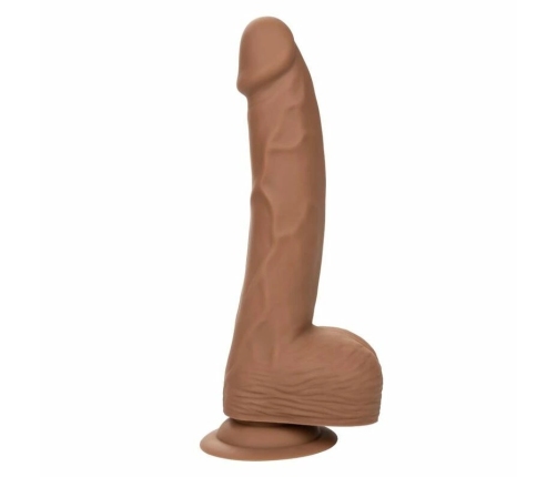 CALEXOTICS - SILICONE STUDS 20.32 CM BROWN