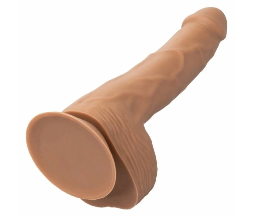 CALEXOTICS - SILICONE STUDS 20.32 CM BROWN