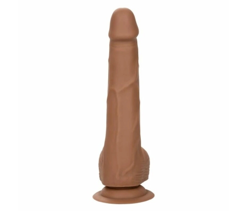 CALEXOTICS - SILICONE STUDS 20.32 CM BROWN