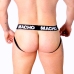 Macho MX27GR Jockstrap Synthetic Leather Gray Beige Size L