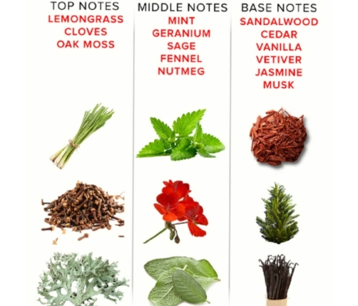 Eye of Love EOL Romantic Parfum Deluxe 50ml - Elegant Pheromone Fragrance