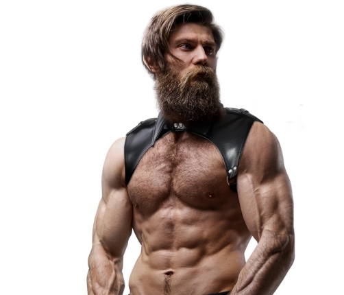 Fetish Submissive Attitude Men's Brigade Eco-Leather Adjustable Chest Harness