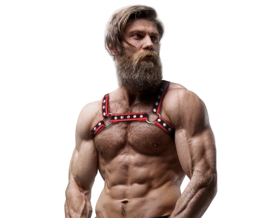 Fetish Submissive Attitude Eco-Leather Chest Bulldog Harness Black/Red