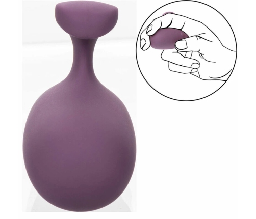 CalExotics Mod Touch Handheld Massager Purple, 10-Speed, Waterproof