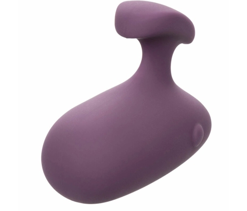 CalExotics Mod Touch Handheld Massager Purple, 10-Speed, Waterproof