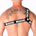 Macho Roman Harness White S/M - Adjustable Elastic Fashion Accessory