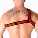 MACHO Roman Harness Red S/M - Adjustable Elastic Fashion Accessory
