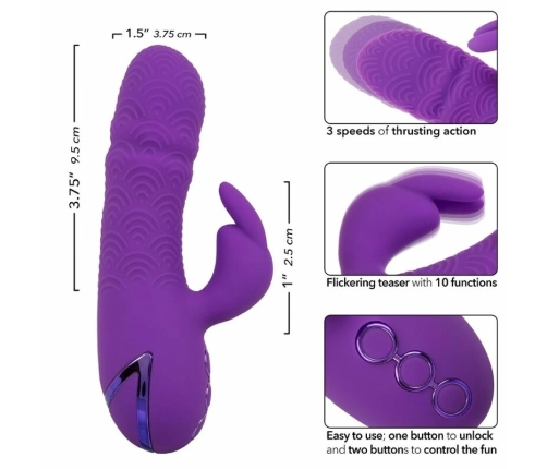 CALEXOTICS - MANHATTAN BEACH MARVEL VIBRADOR RABBIT MORADO BY CALIFORNIA DREAMING