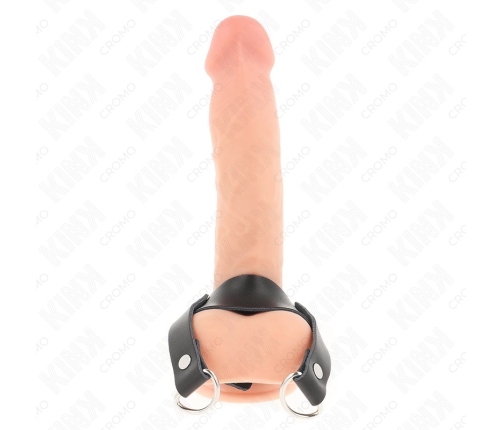 KINK D-Shape Support Ring 18.5 x 3.3 cm - Stainless Steel Anatomic Model