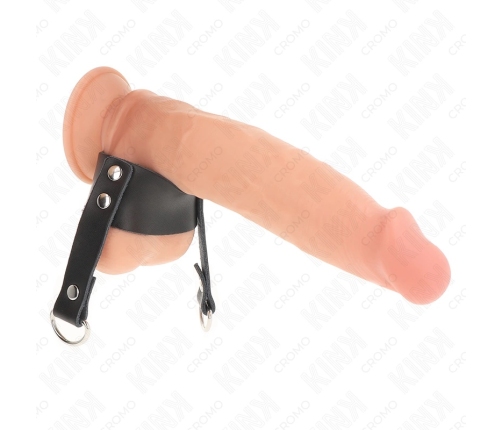 KINK D-Shape Support Ring 18.5 x 3.3 cm - Stainless Steel Anatomic Model