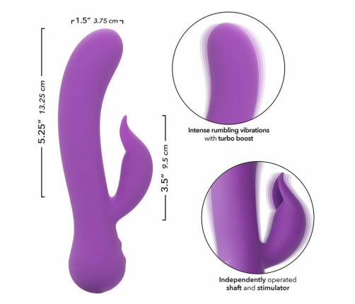 CalExotics First Time Pleaser Rechargeable Intimate Device Purple